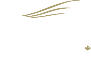 bailey helicopters logo