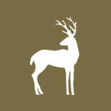 Wildlife Surveys & Telemetry Image